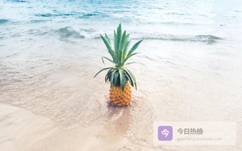 夏至养生全攻略：避忌与美味食谱一次看懂