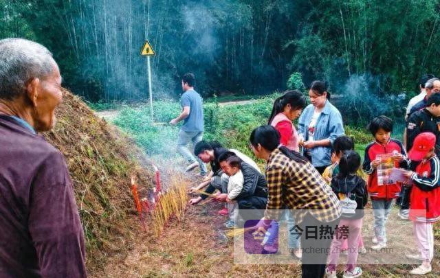 清明团聚还是各扫门前雪？一家人怎么才算“到齐”