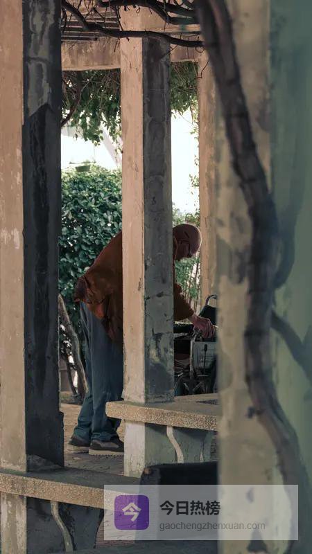 1956属猴人70岁后:卸下千斤担，福气慢慢找上门