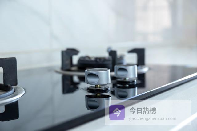 吓我一跳！电和天然气烧水，差距居然差出一个月的买菜钱！