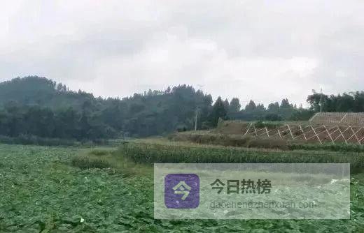 资阳山水人文全景扫描