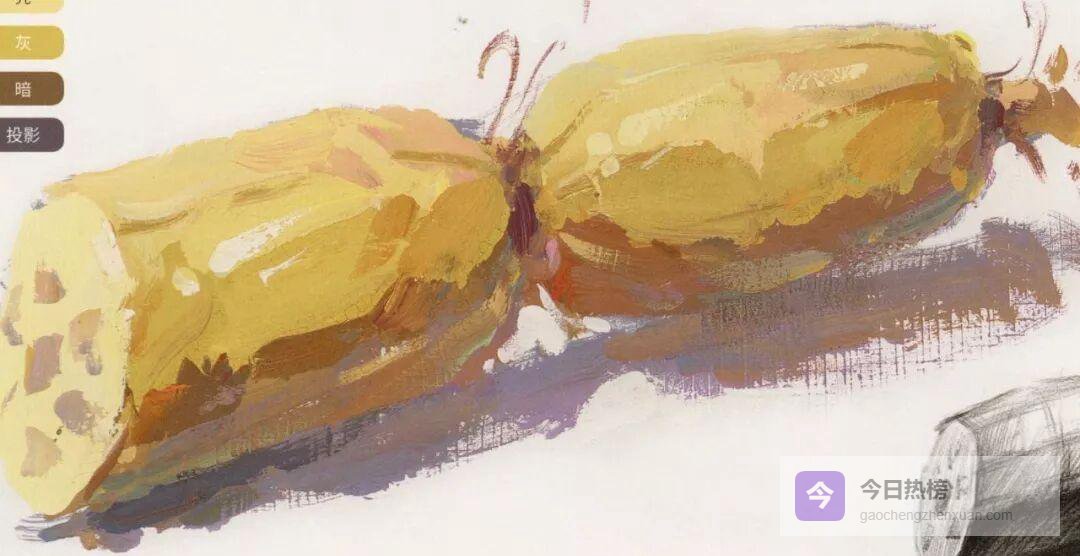 一支莲藕学配色：从结构到完成的色彩静物实战