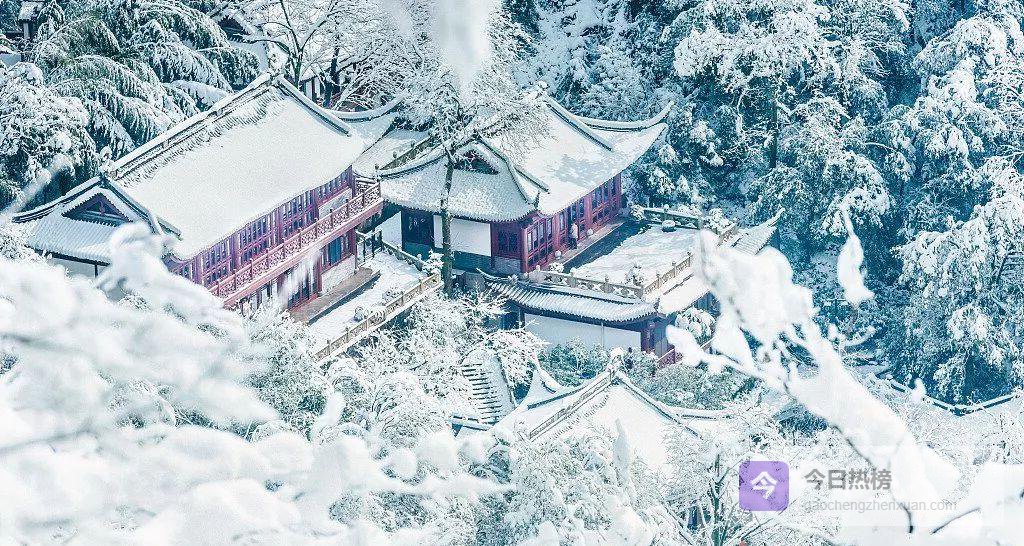 把功德送出去：回向的真相与力量