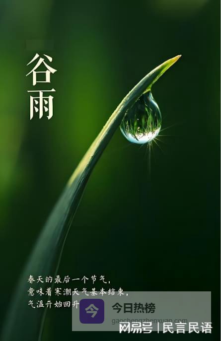 谷雨为何被称为“春天的最后一滴眼泪”？