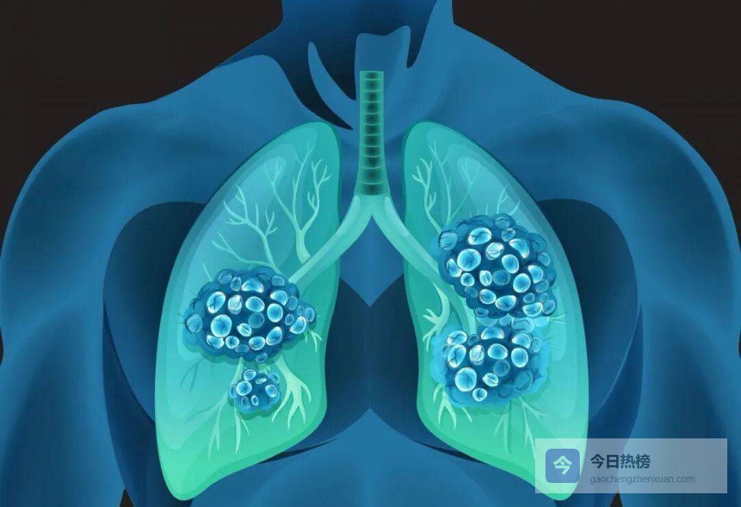 一呼一吸，一心一肺：生命节律的隐形交响