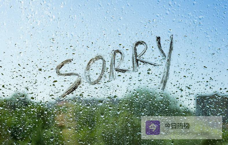 道歉的力量与陷阱：真诚背后的心理真相