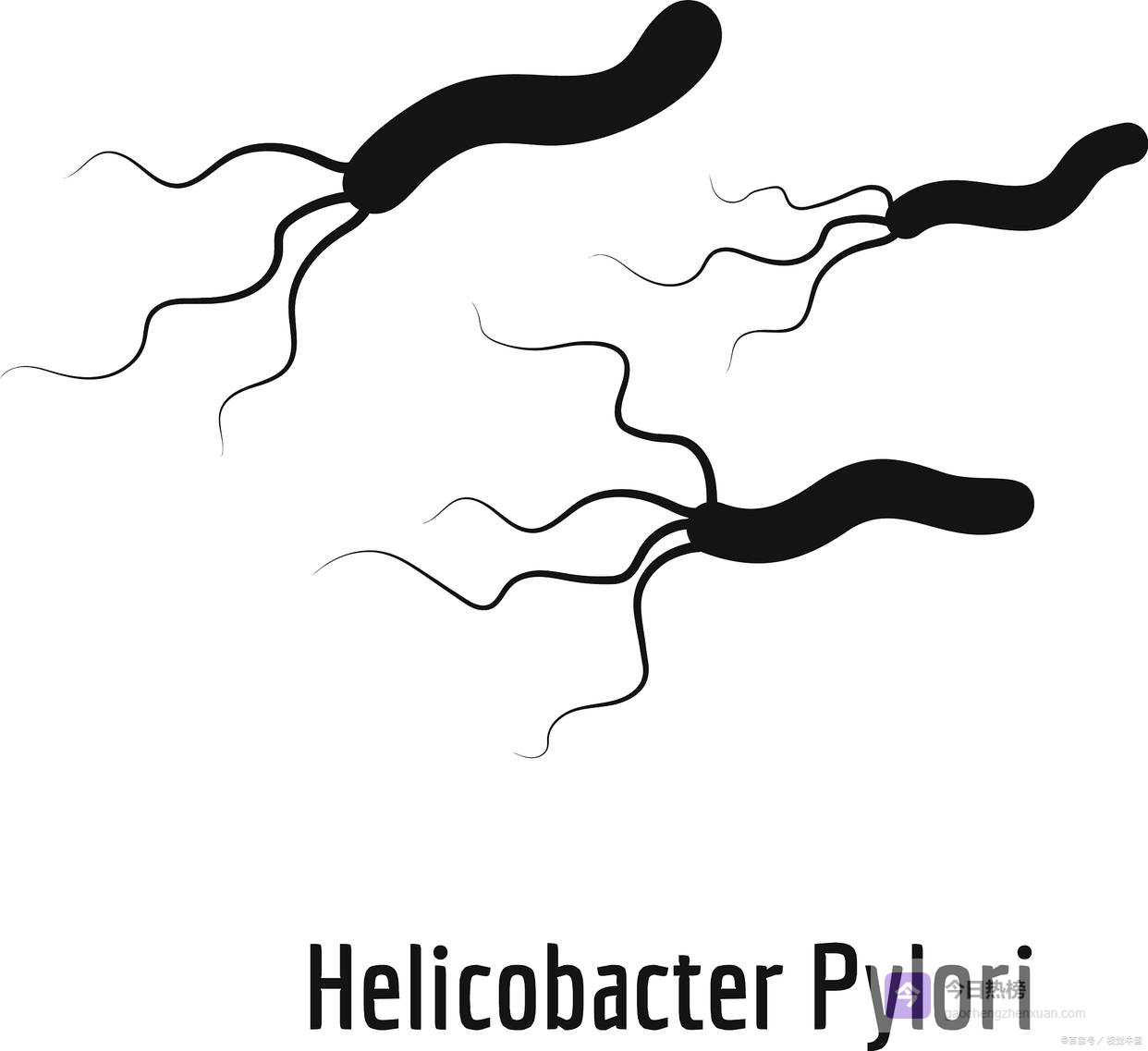 救命科普：90%人忽略的胃癌信号，4月防癌周必看