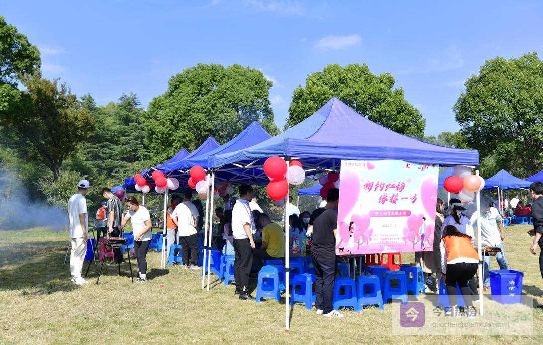 飞盘传递心动：虹梅路单身青年交友记