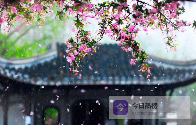 孔子与老子的“讷言”对话：慎言与诚信的智慧