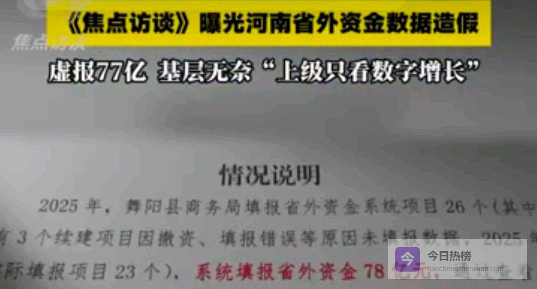 78亿变1亿河南3地曝巨额数据造假，网友：震惊谁该负责