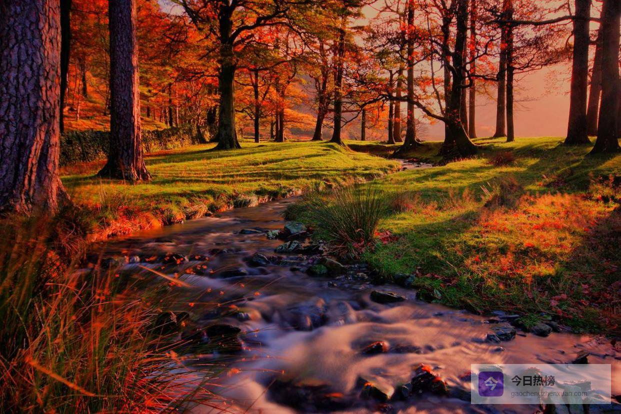 不是先有本事才能干成事，而是先从干事中练出本事