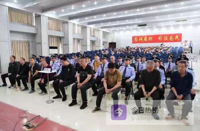 镇平涉黑案：胡某某等18人获刑，主犯获刑25年