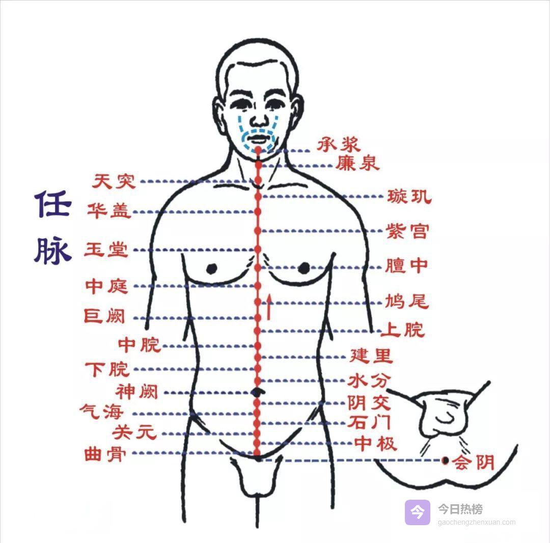 藏在耻骨上的“小太阳”——曲骨穴全解