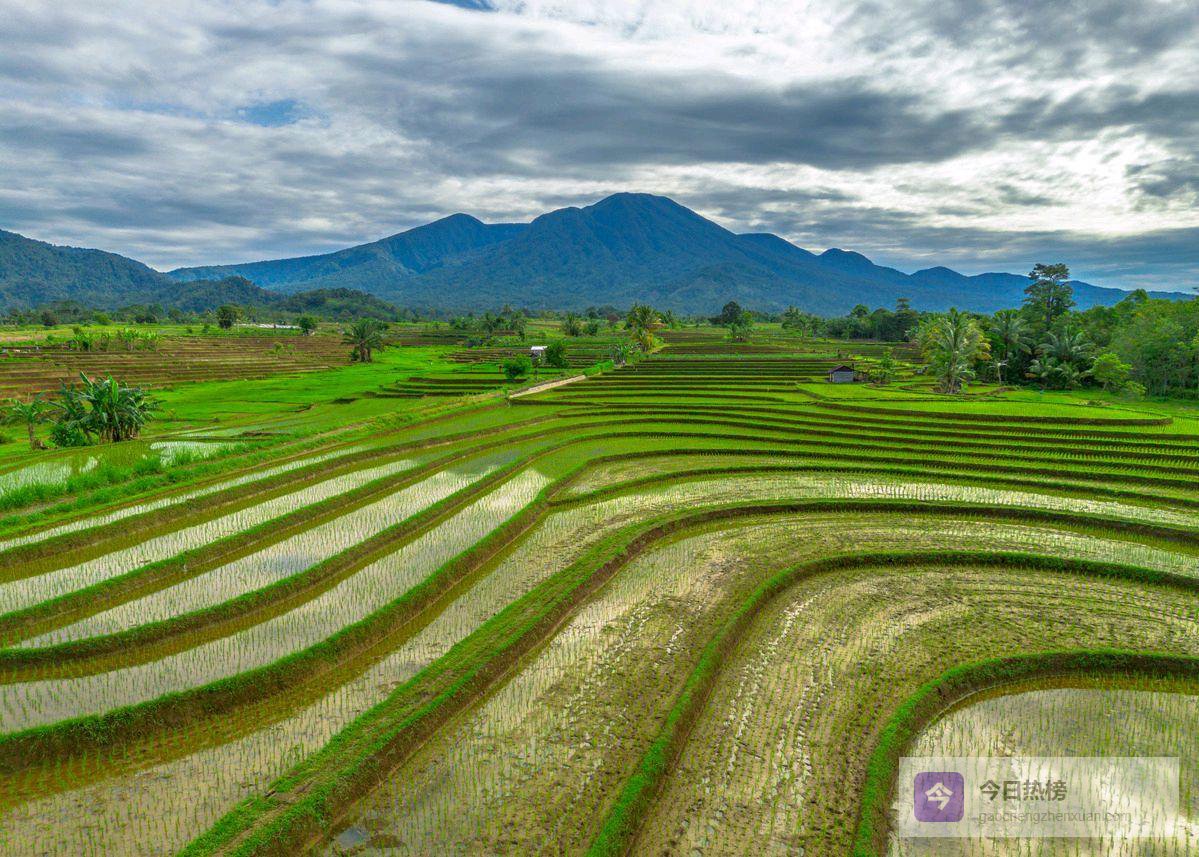 通知！通知！2026年粮补地补有好消息，种地的老铁们赶紧看过来