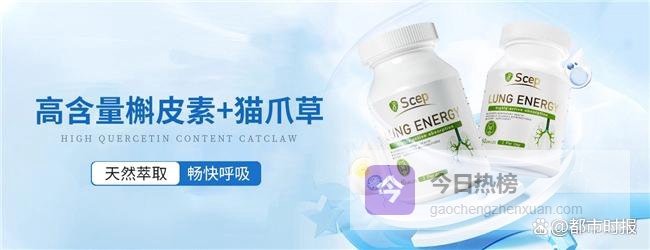 槲皮素哪个牌子好？2026十款前沿配方槲皮素，推荐Scep肺能量呼吸道养护效果好