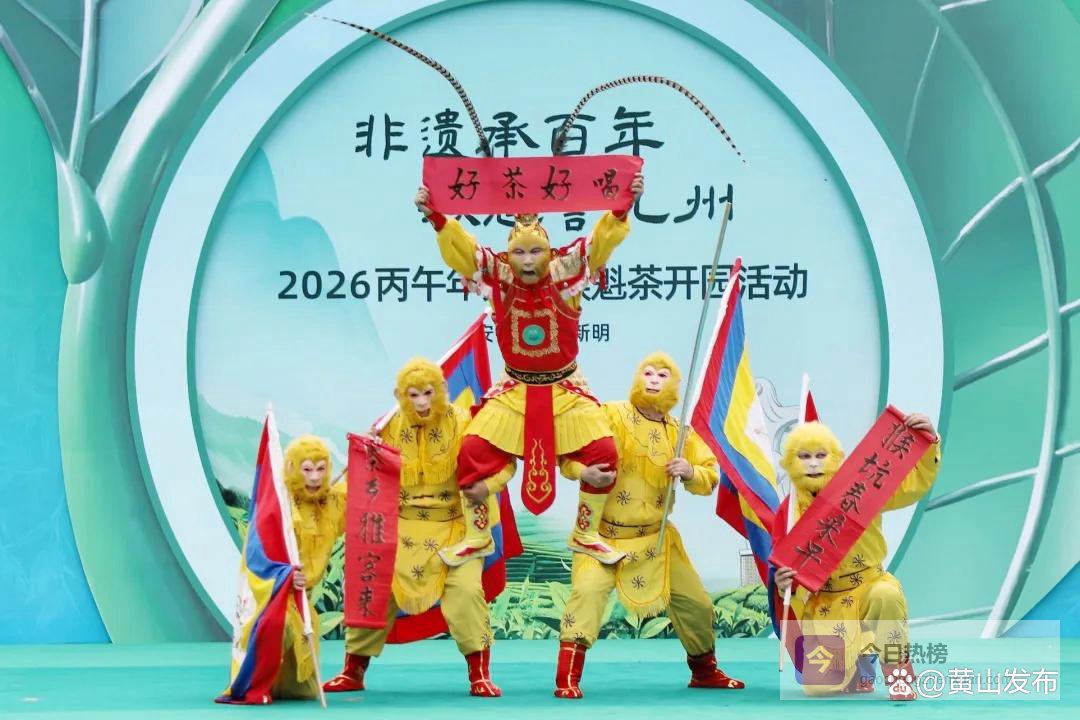 注意，天都大道半封闭施工太平猴魁，开园！