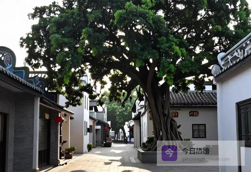 珠海又一古村走红！被称作珠海人的后花园，适合周末一日游