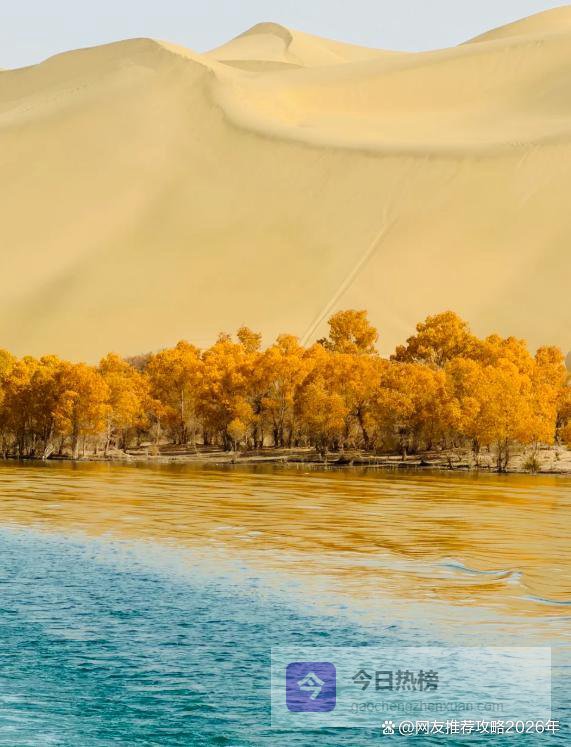 南疆七天六晚2-6人纯玩小团旅游攻略：七日游报价路线景点美食篇