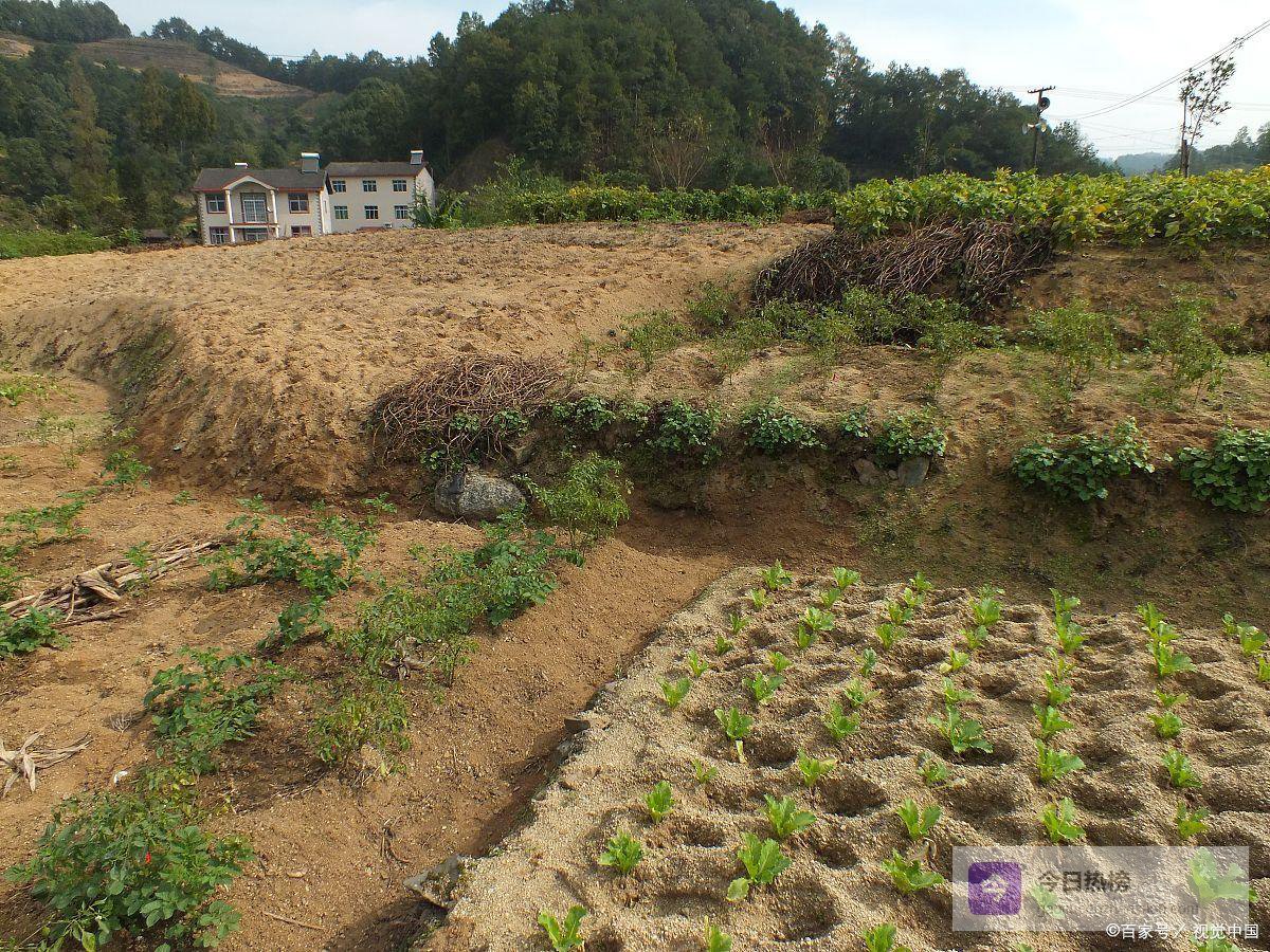 一户一宅、一户一田新规施行！土地归并开始了？村民务必趁早明白