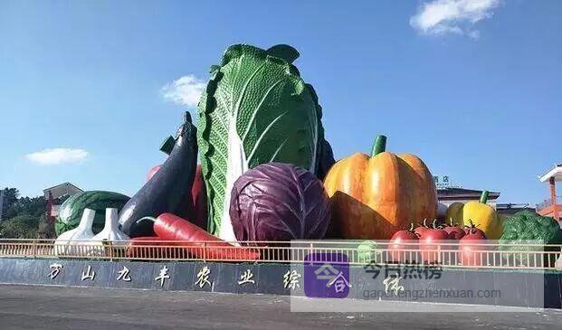 党旗飘在蔬菜园：九丰生态农业的“从0到1”跃迁