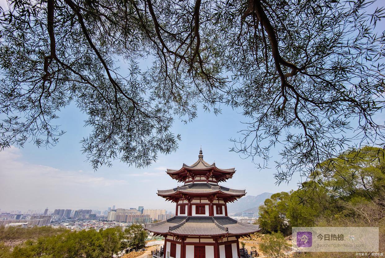 总觉得自己不够好、不如别人、活得不如意，就读读这6首诗吧