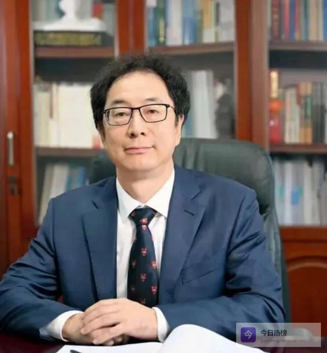 被查！何文昌落马，揭开大型咨询公司腐败的冰山一角……