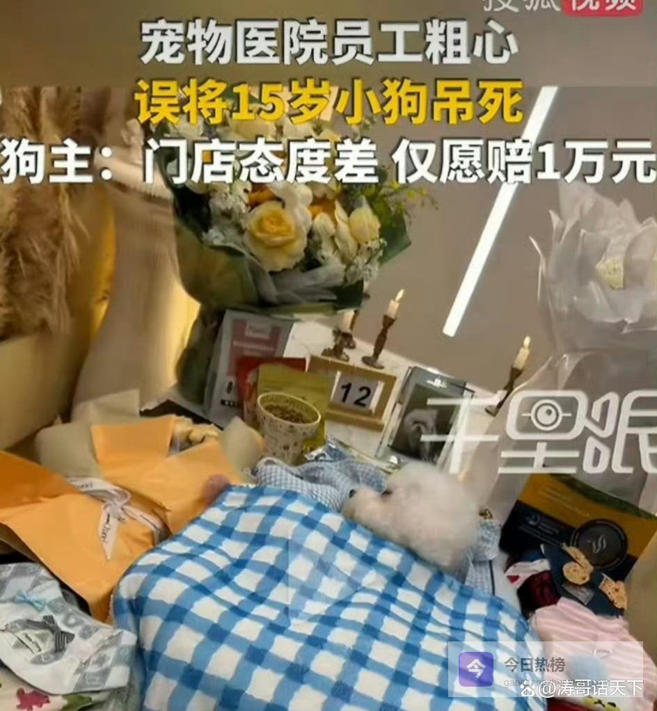 洗澡洗出人命，失职不是意外：别让宠物托付变成生死离别