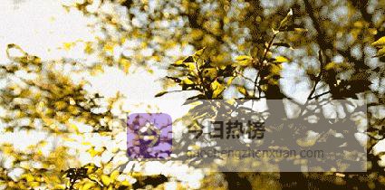 从灰蒙到璀璨：两段故事照亮成长