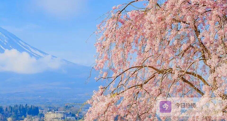 顶流错把戏中人当真爱，清冷女星被“丈夫”缠上