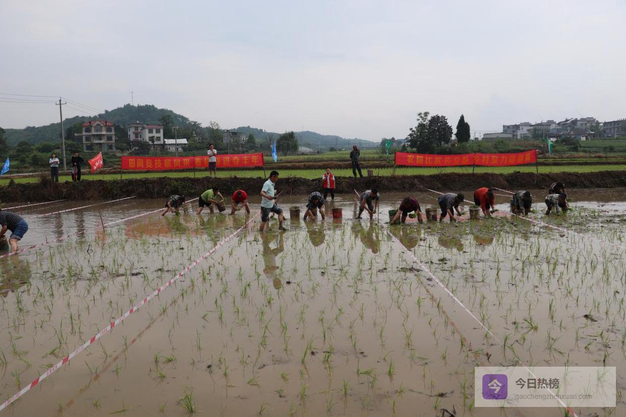回龙圩：农民竞技展风采 和美兴隆聚民心