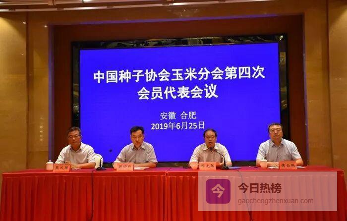 玉米分会换届：70位理事共绘种业新蓝图