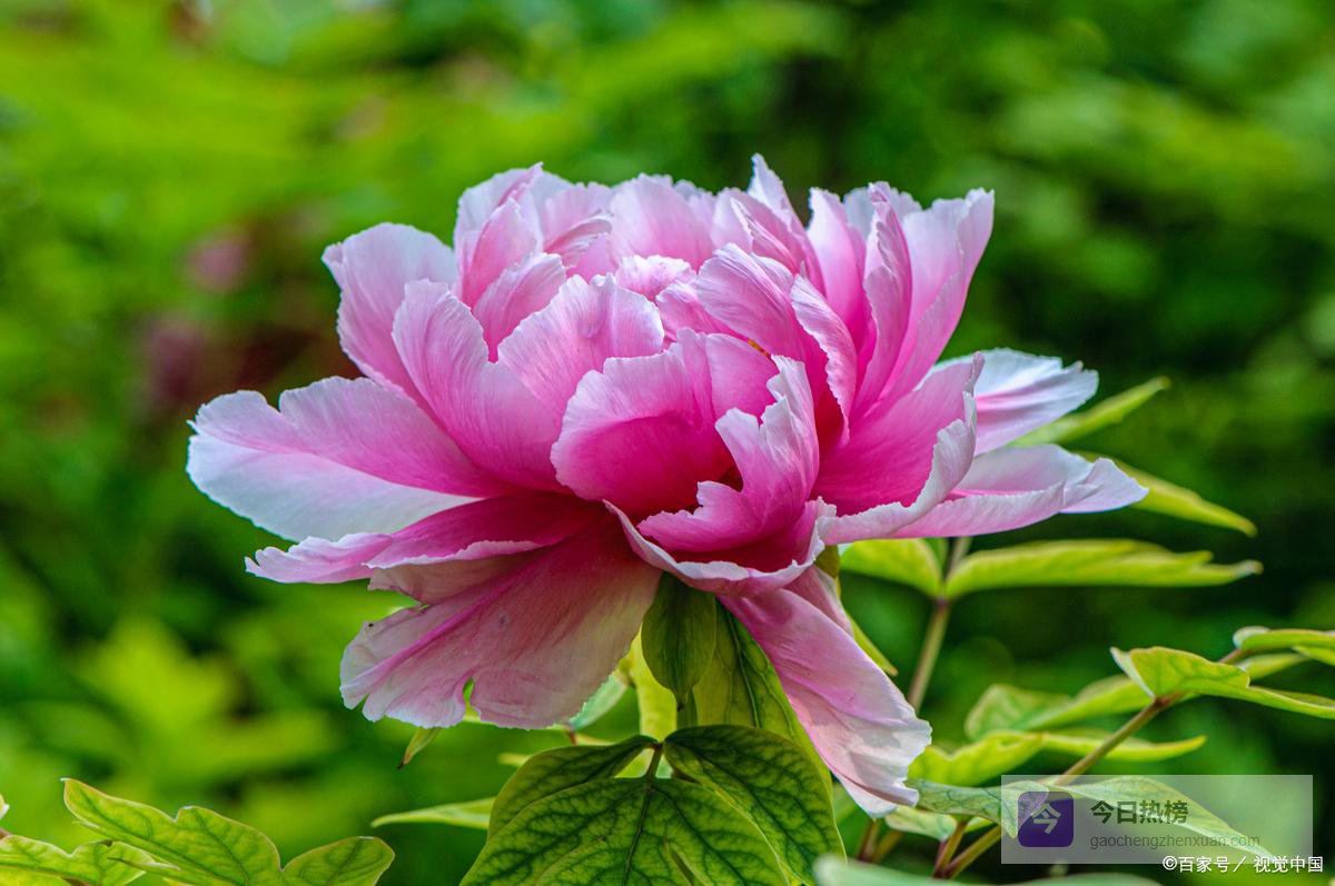 四五十岁男人动情的5个“反常”信号：第三个最准，藏在他的小心眼里