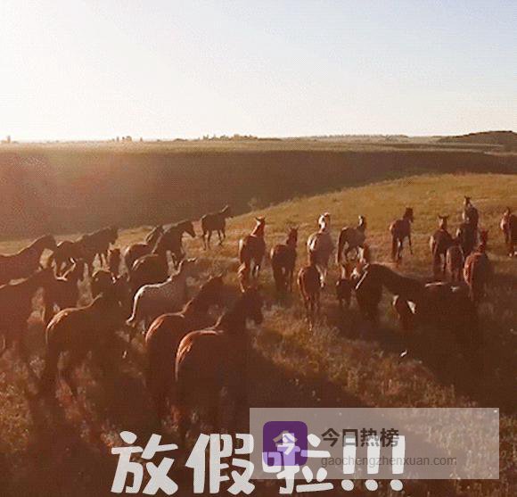 雷雨天坐电梯到底安不安全？一次说清