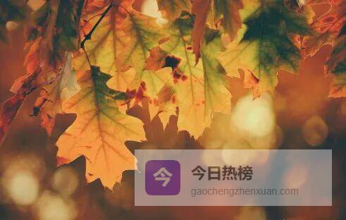 除了《乡愁》，这五首余光中诗同样值得读