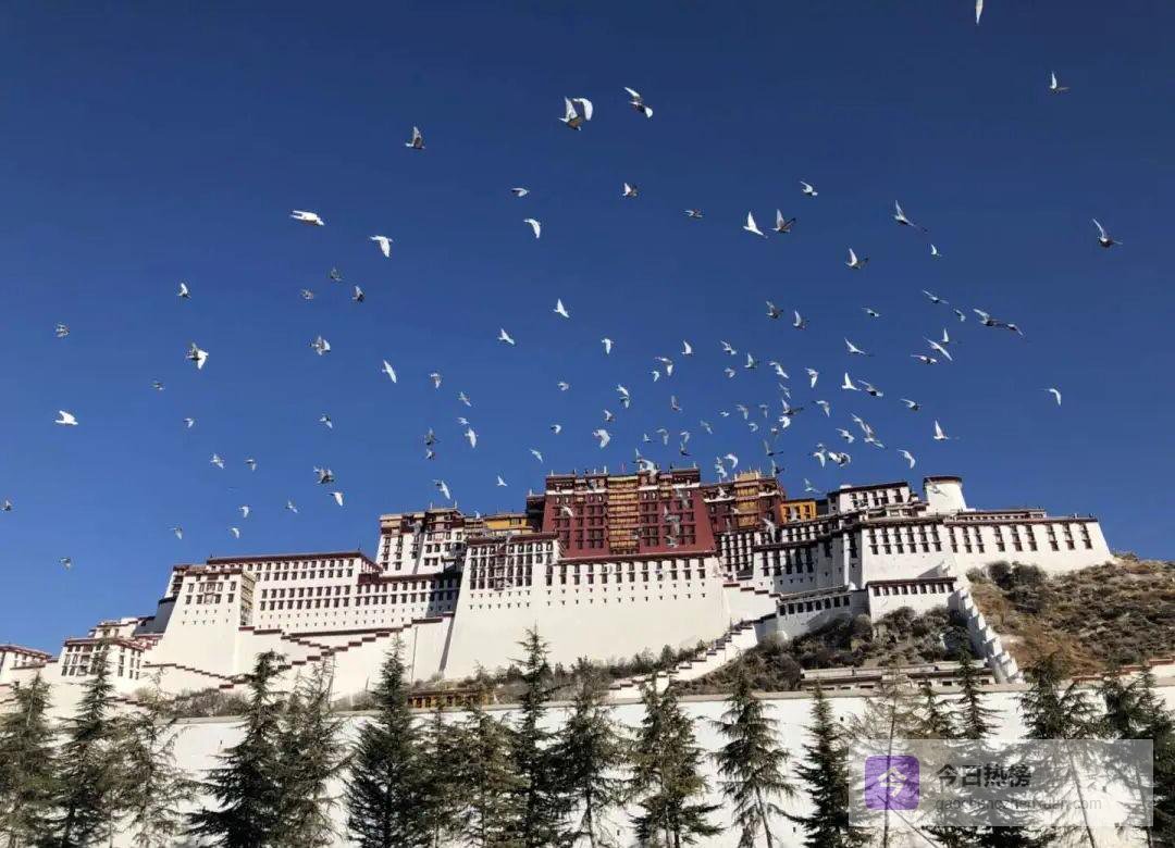 朝圣者的脚印：我心中的西藏